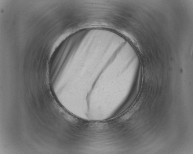 X0000076051374200610152127