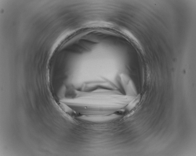 X0000076051376200610152127