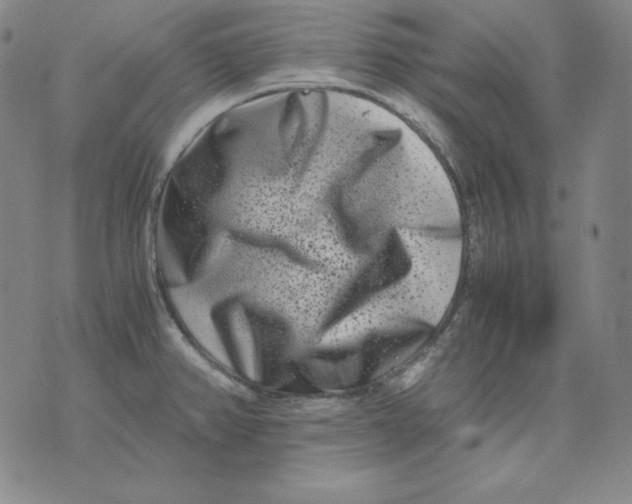 X0000076051382200610152126