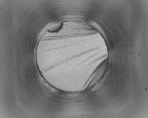 X0000076051386200610152126