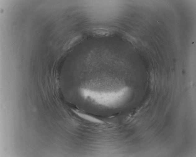 X0000076051394200610152125