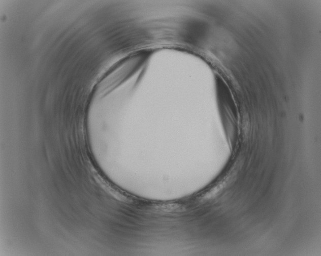 X0000076051417200610152126