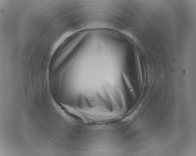 X0000076051422200610152126