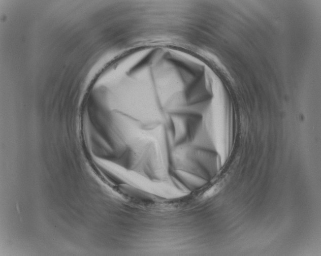 X0000076051424200610152126