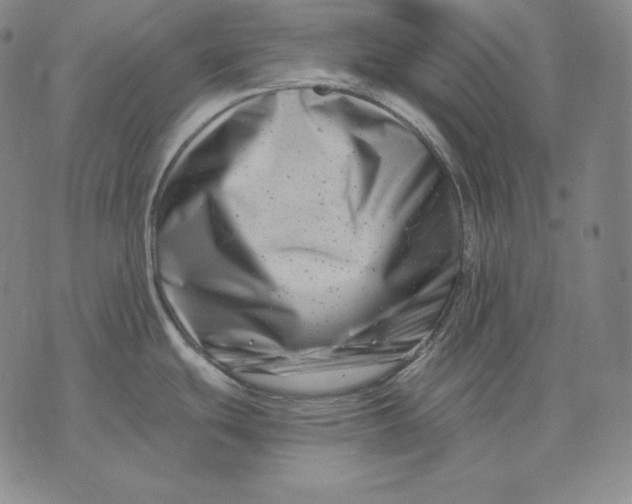 X0000076051439200610152126