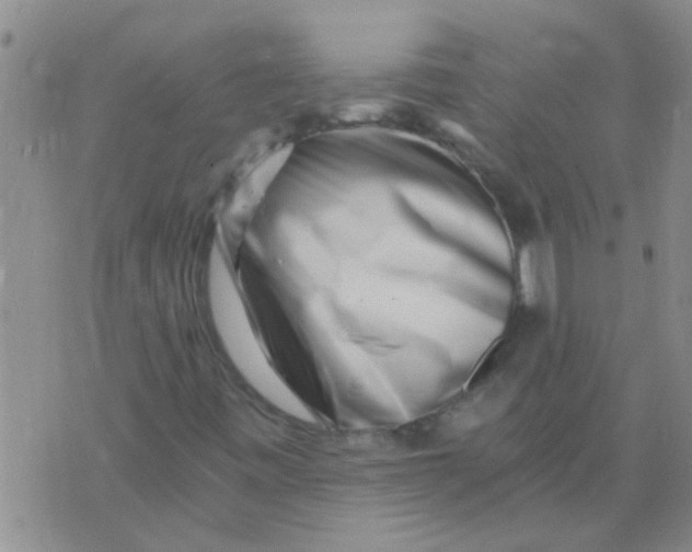 X0000076051443200610152125