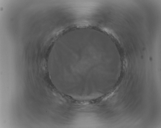 X0000076051445200610152125