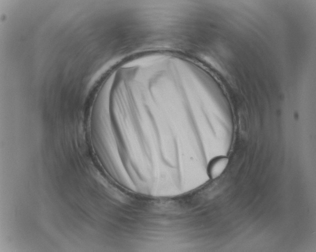 X0000076051452200610152125