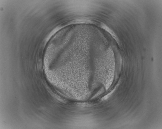 X0000076051465200610152125