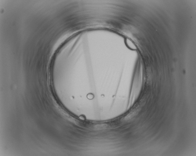 X0000076051467200610152125