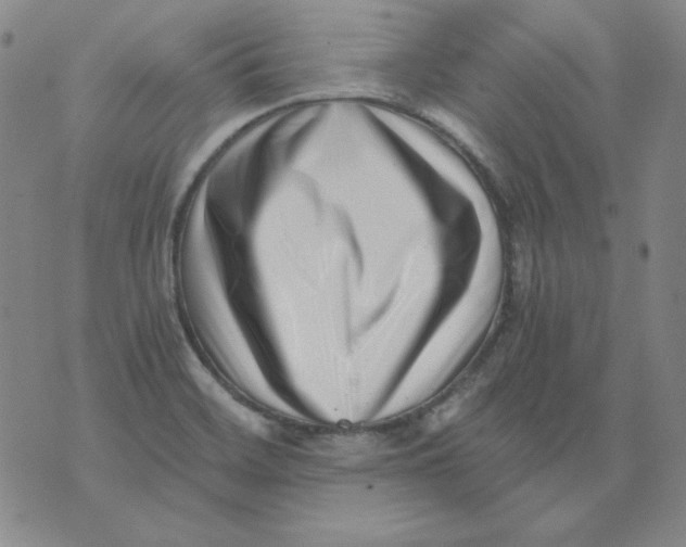 X0000076051468200610152125