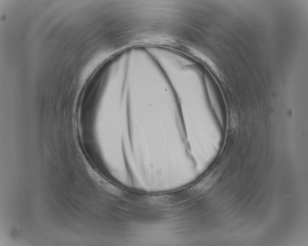X0000076051471200610152125