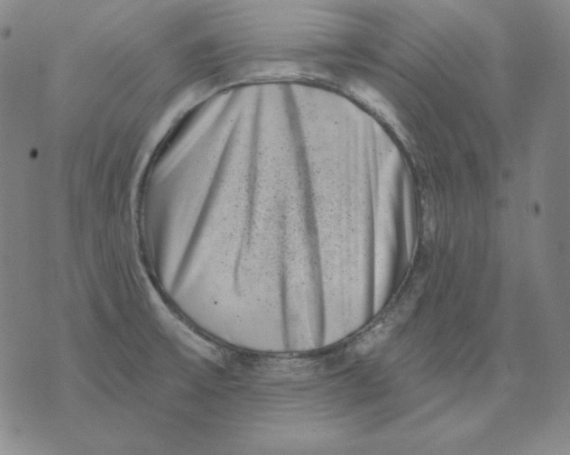 X0000076051475200610152125