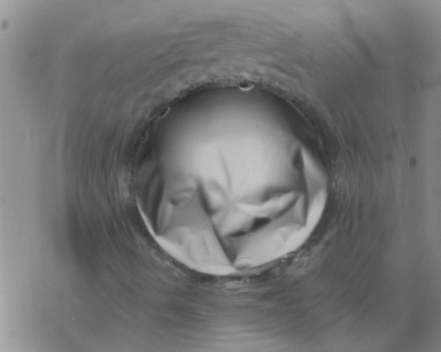 X0000076051490200610152124