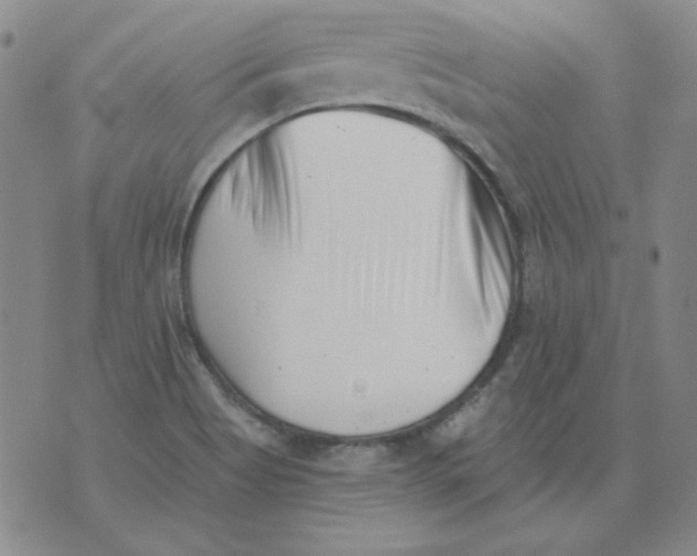 X0000076051513200610152124