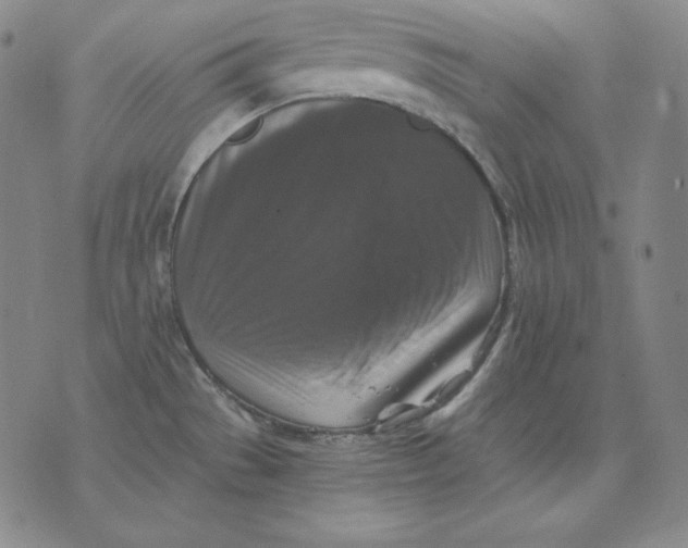 X0000076051529200610152125