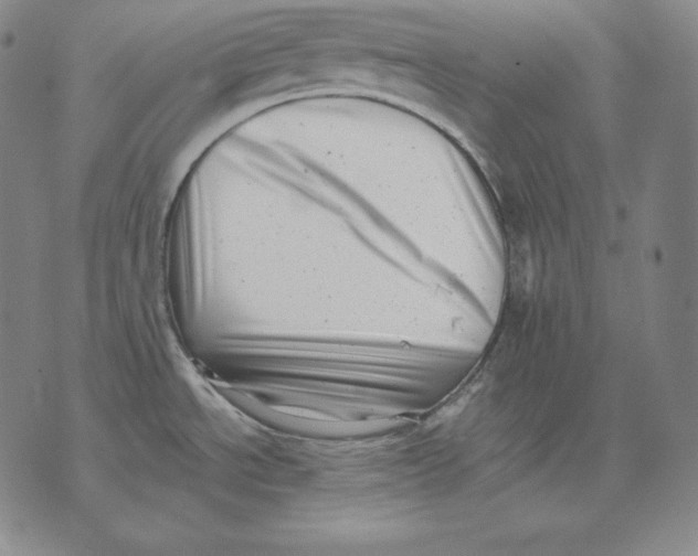 X0000076051534200610152125