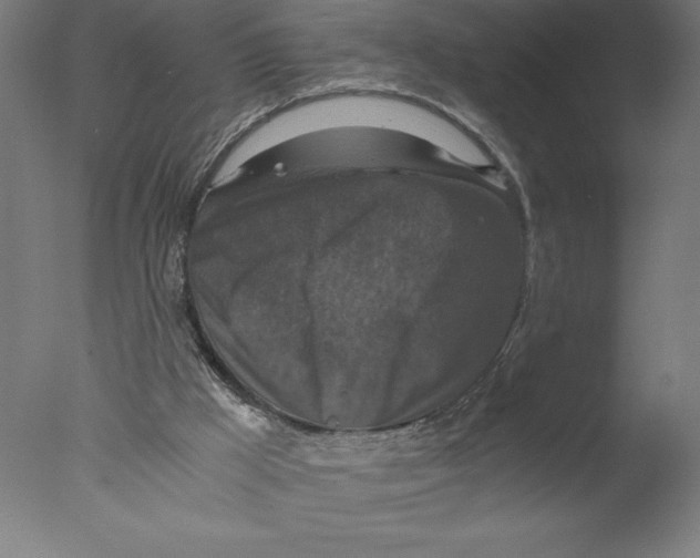 X0000076050009200610201934