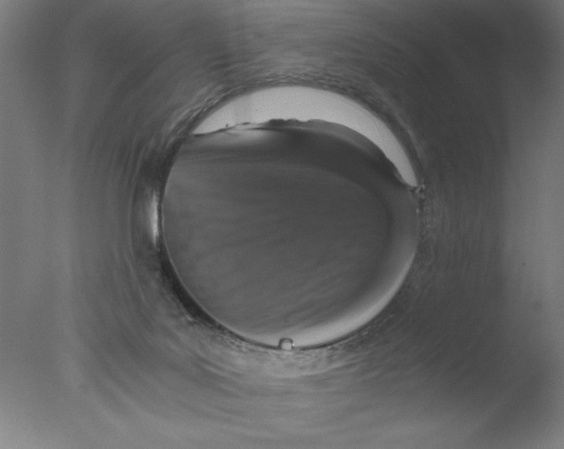 X0000076050027200610201934