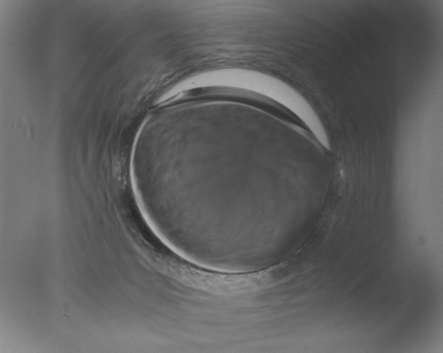 X0000076050031200610201934