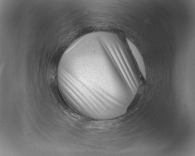 X0000076050033200610201934