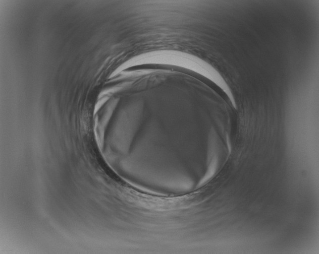 X0000076050035200610201934