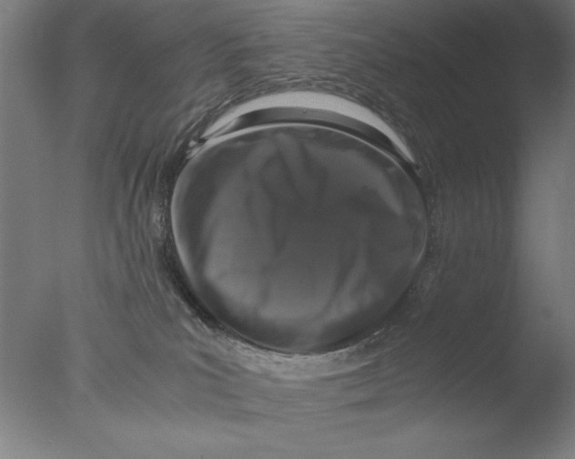 X0000076050039200610201933