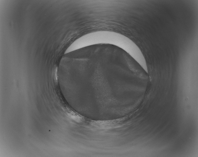 X0000076050041200610201933