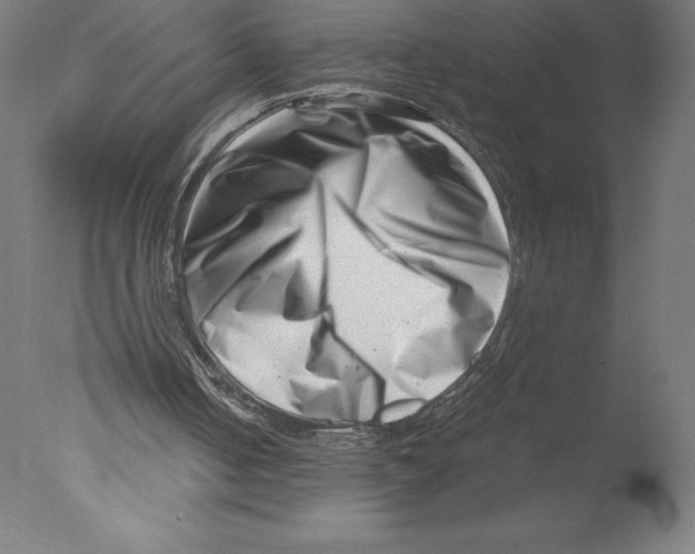 X0000076050050200610201933