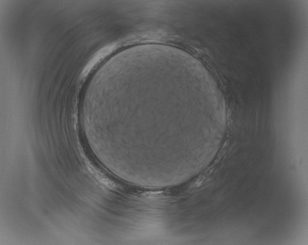 X0000076050054200610201933