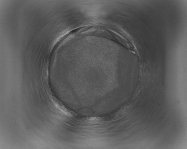 X0000076050059200610201933