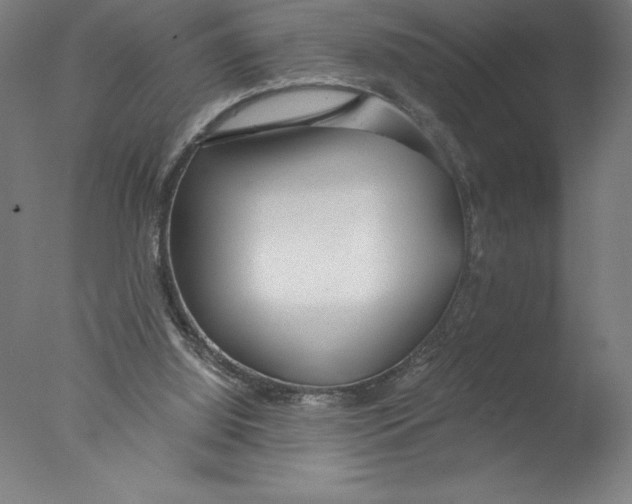 X0000076050060200610201933