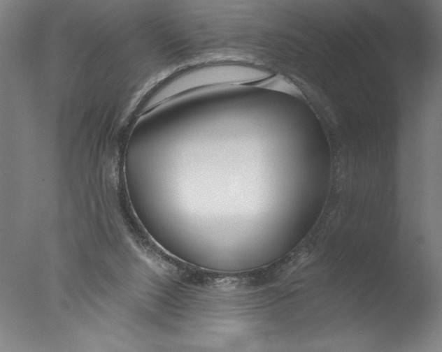 X0000076050064200610201933