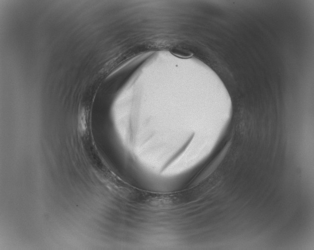 X0000076050075200610201933