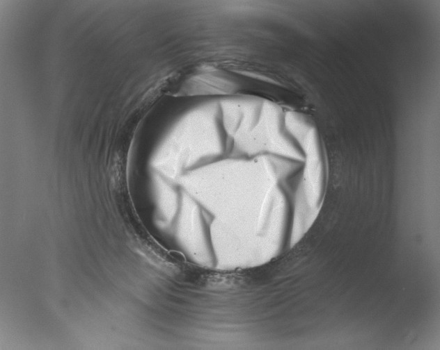 X0000076050077200610201933