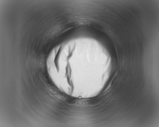 X0000076050078200610201933