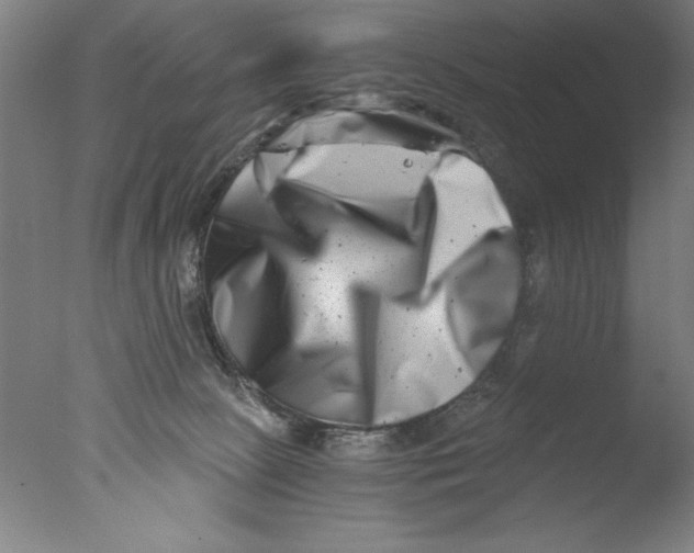 X0000076050081200610201933
