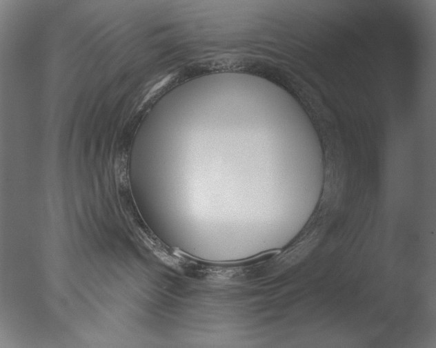 X0000076050096200610201933