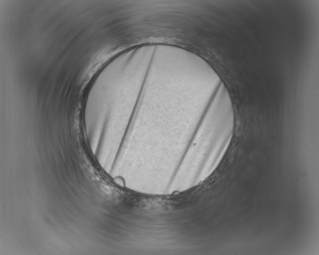 X0000076050098200610201932