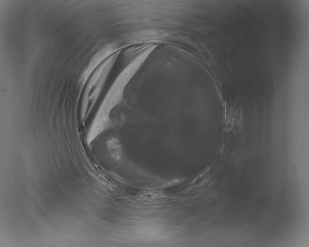 X0000076050099200610201932