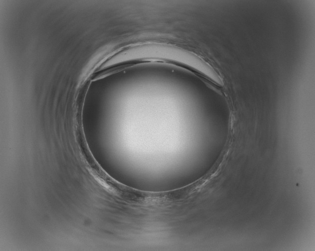 X0000076050101200610201932