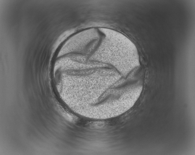 X0000076050104200610201932