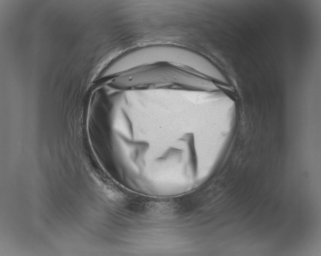 X0000076050107200610201932
