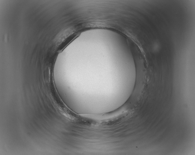 X0000076050109200610201932