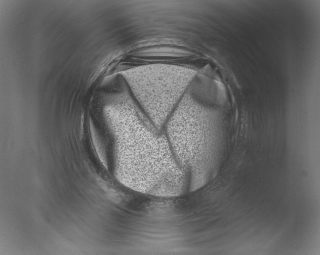 X0000076050110200610201932
