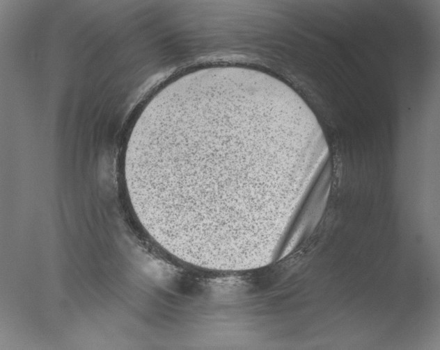 X0000076050112200610201932