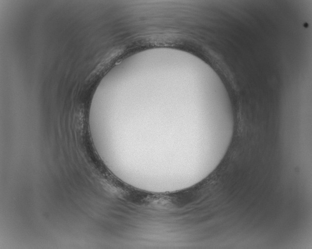 X0000076050113200610201932