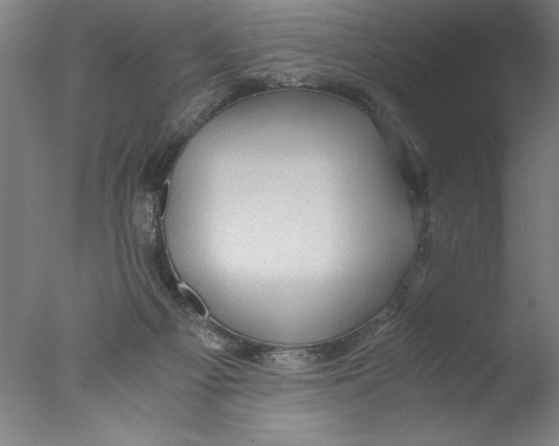 X0000076050121200610201932