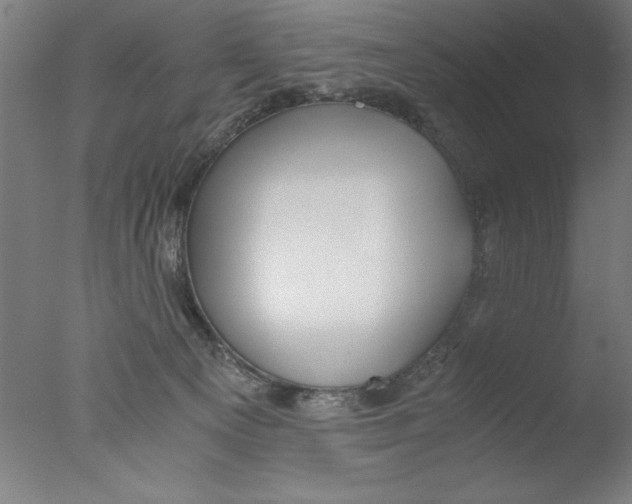 X0000076050129200610201932