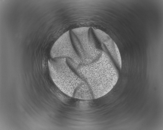 X0000076050134200610201932